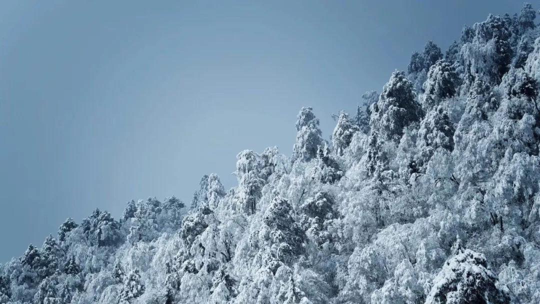 加入酸奶放冰箱里过了保质期还能喝吗知识星球,解锁无限知识宝藏