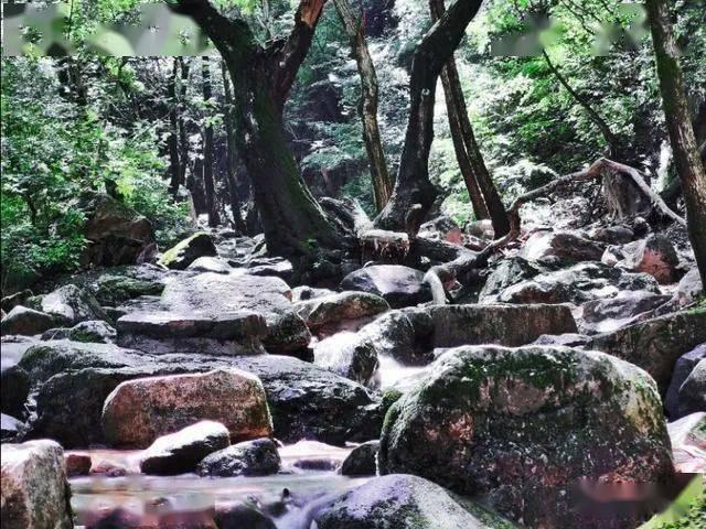 探索如何根据自己的五官长相画出适合自己的港风妆容?知识星球,拓展您的专业视野
